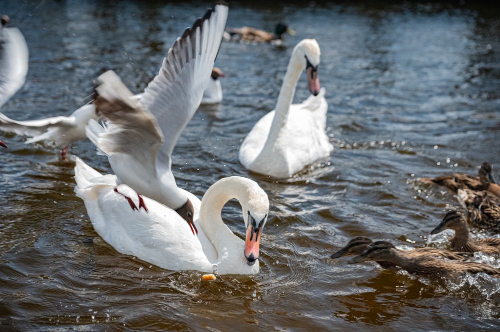 Photograph by Tanzilya Gabidullina