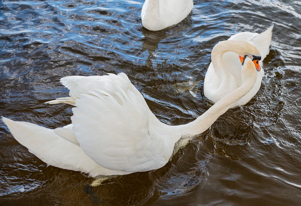 Photograph by Tanzilya Gabidullina