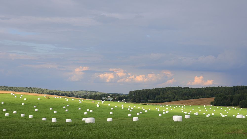 Photograph by Дима Малиновский