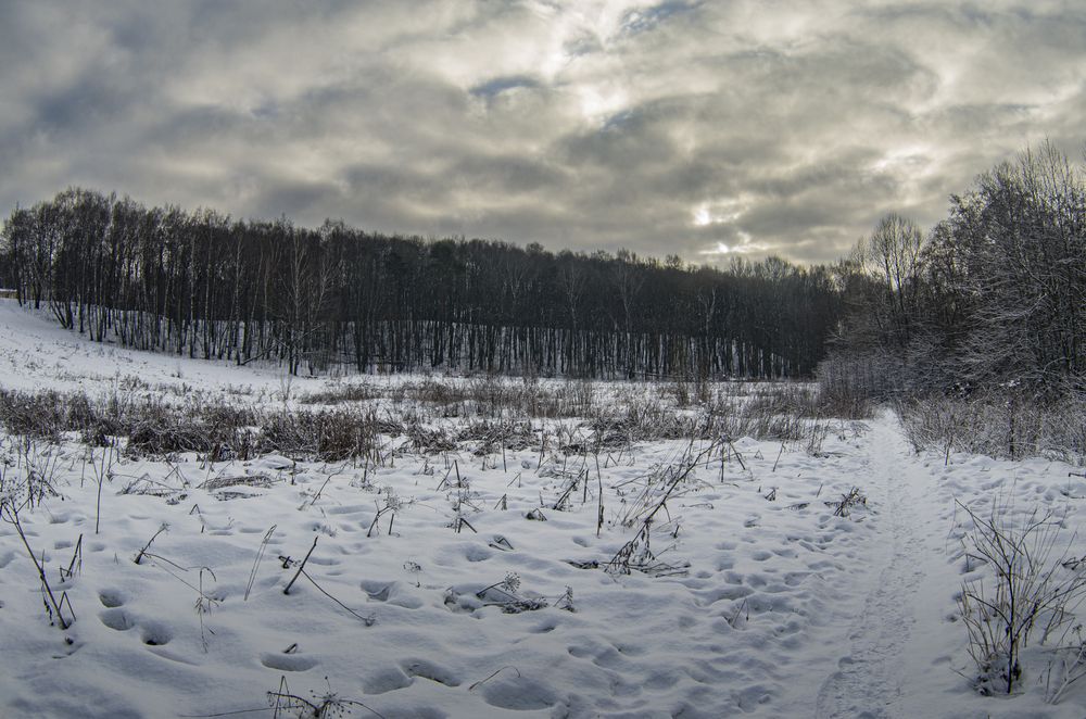Photograph by Александр