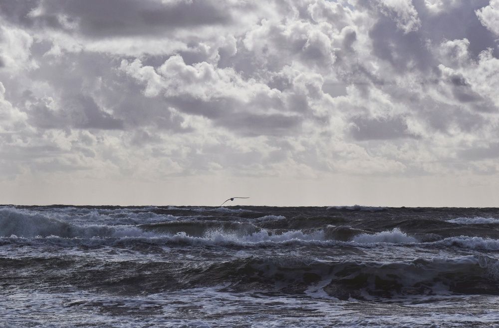 Photograph by Aleksandra Bistrova