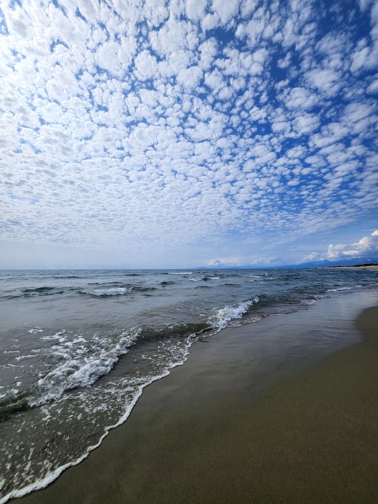 Photograph by Simona Synkova