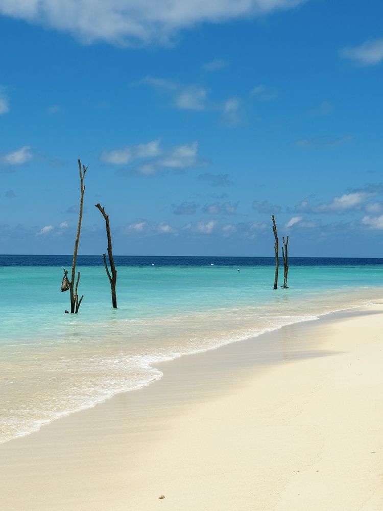 Photograph by Анастасия Дулова