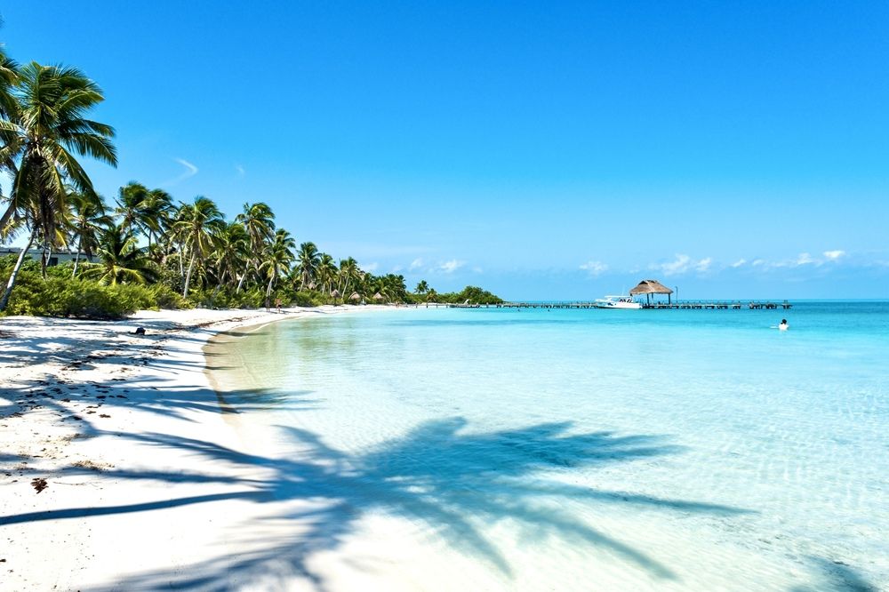 Photograph by Анастасия Дулова