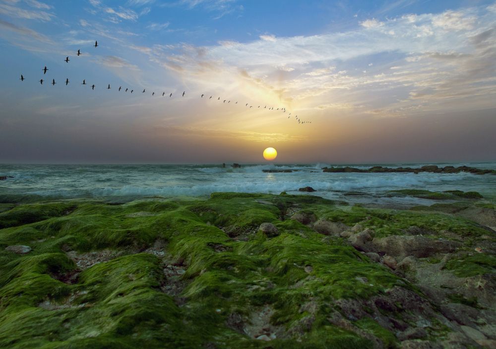 Photograph by Вадим Городницкий