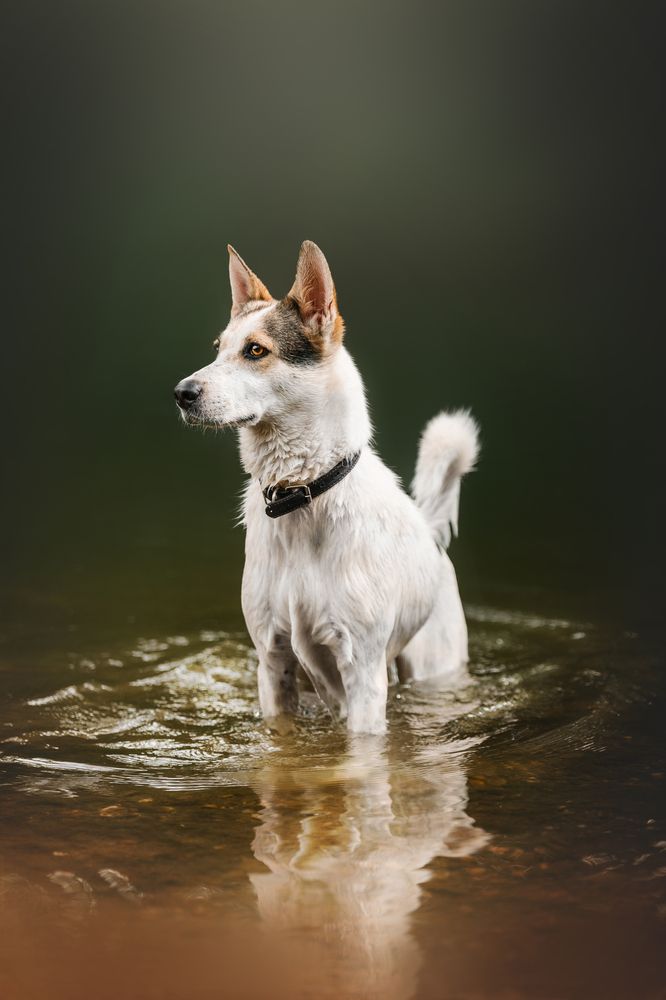 Photograph by Daria Koksharova