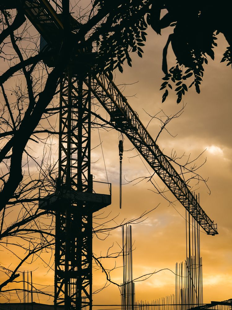 Silhouettes of Progress