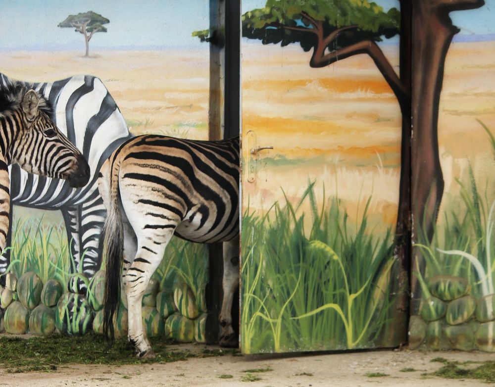 Photograph by Татьяна Сычёва