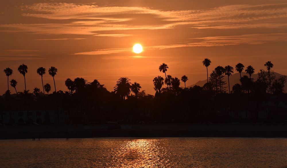 Whispers of the Night Sea