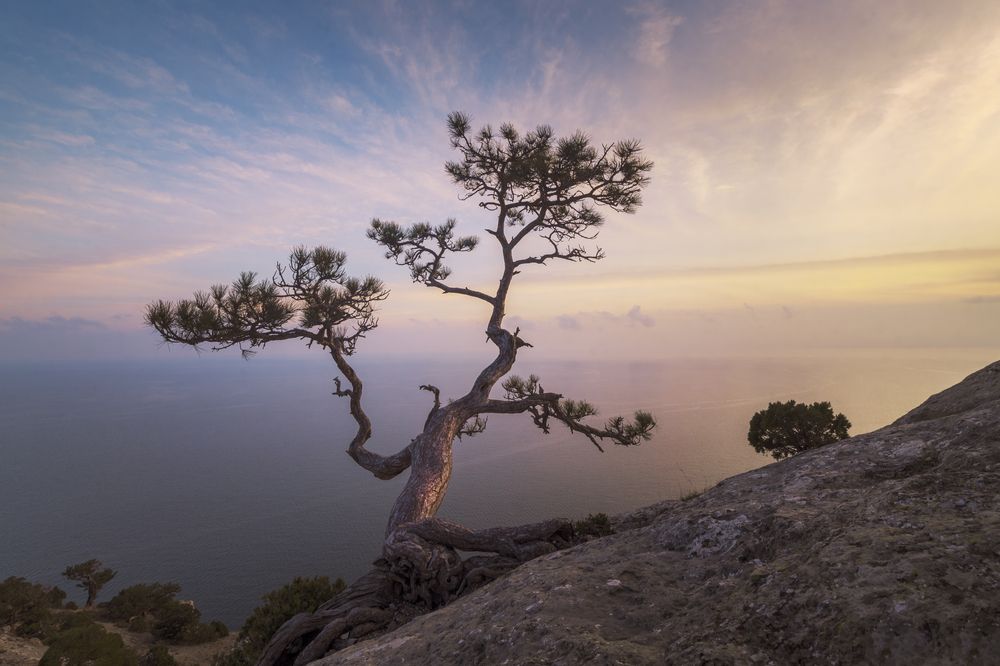 Photograph by Светлана Андреева