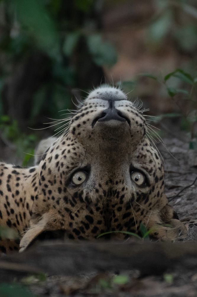 Photograph by B.Nivarthana Anuruddha