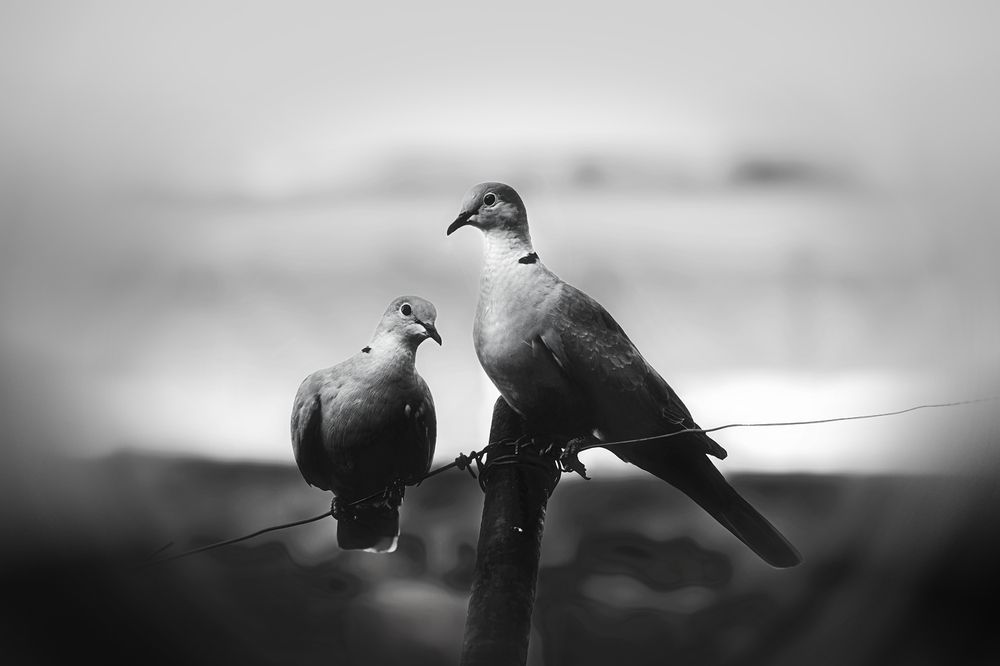 Photograph by Marcos Alejandro Ferreira Reyes