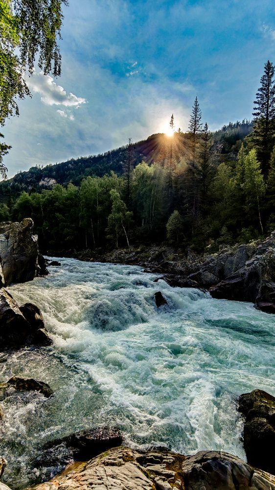 Фотография автора Эльвира Чернова