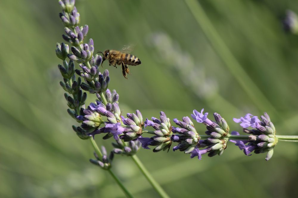 Photograph by Ирина Дмитриенко