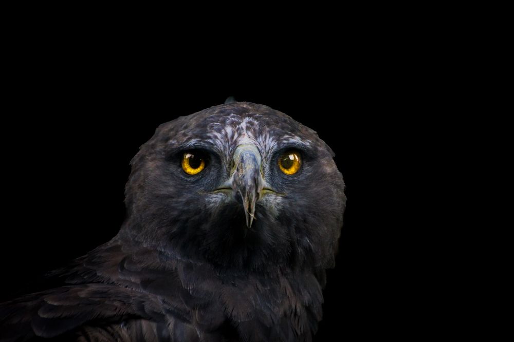 Photograph by Keegan Boland