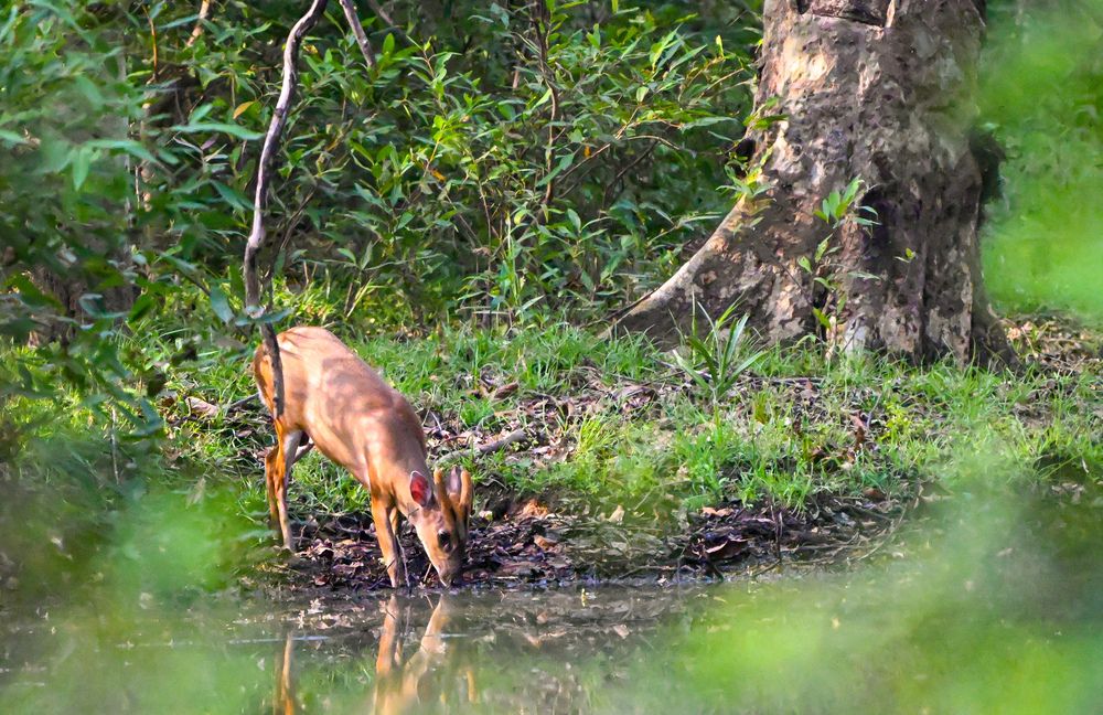 Photograph by Vikrant Khedekar