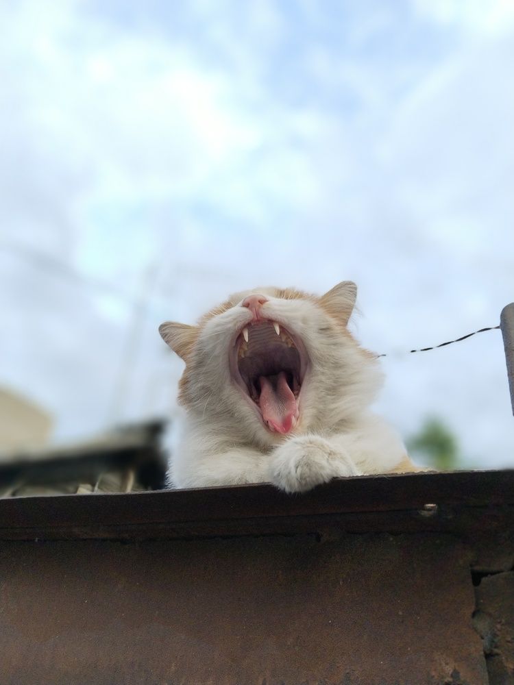 Photograph by Ольга Чернова