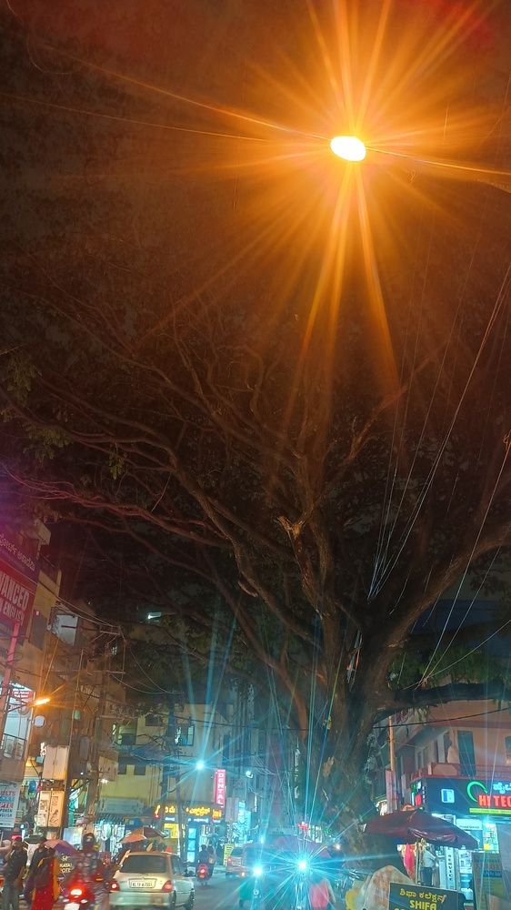 Roots of the City