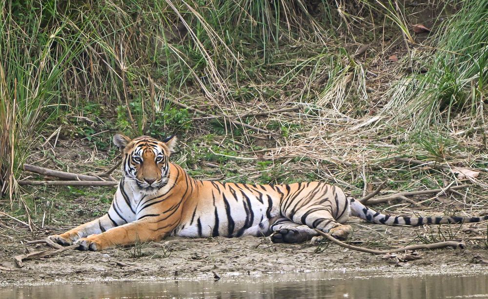 Photograph by Vikrant Khedekar