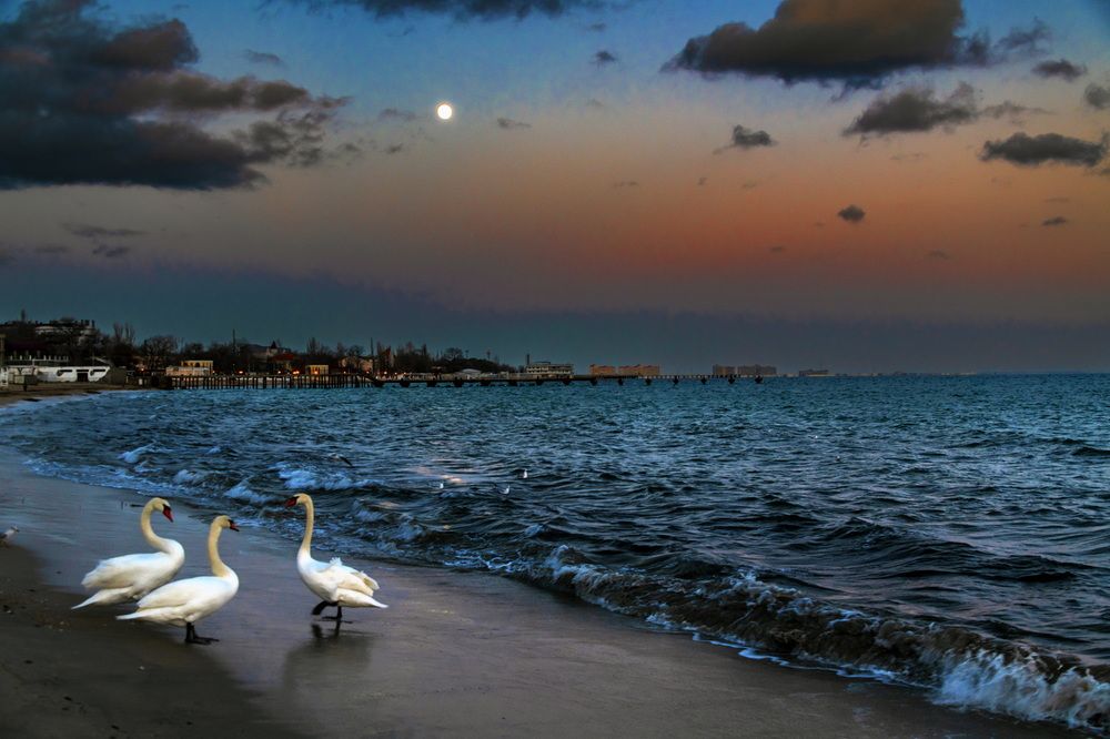 Встреча под луной