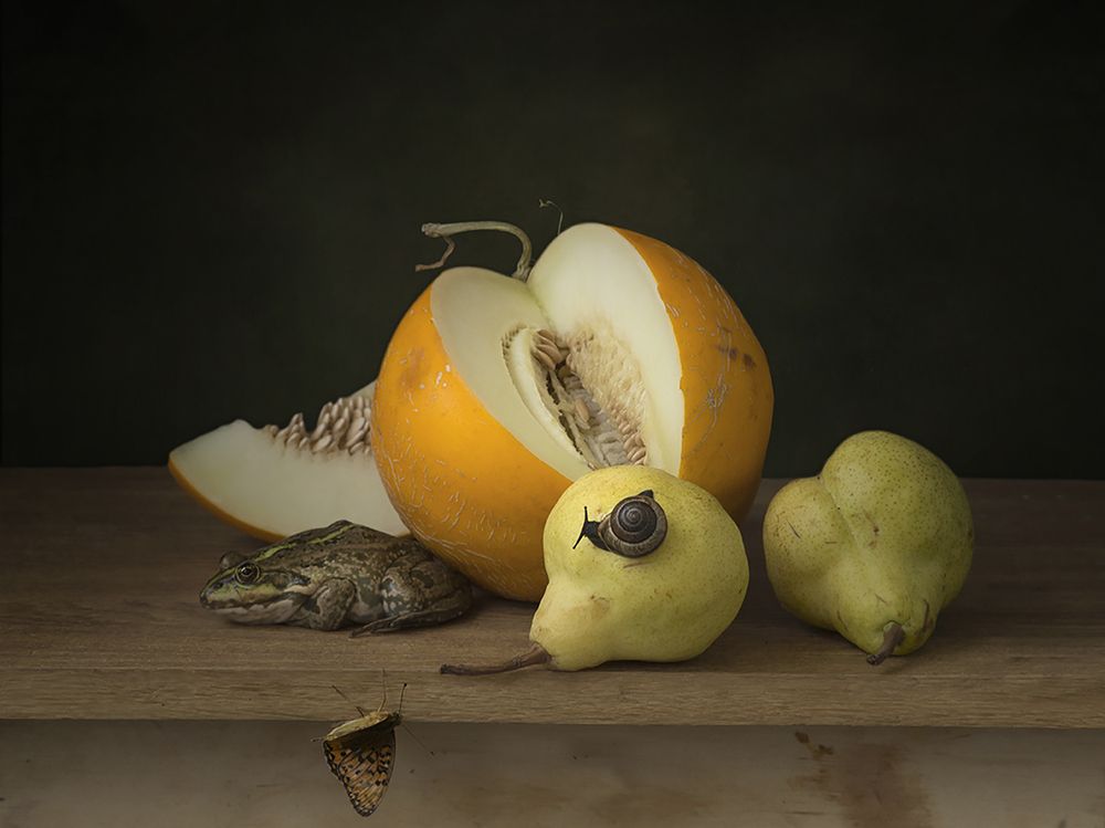 Photograph by Янина Черпухина-Андреева