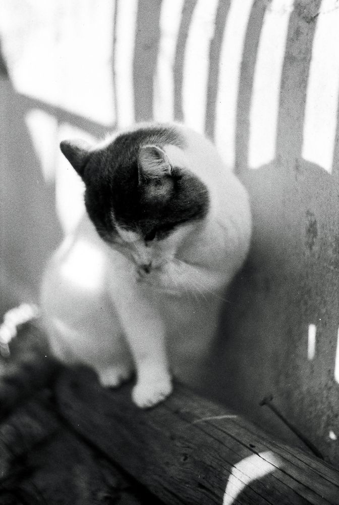 Photograph by Анастасия Белицкая