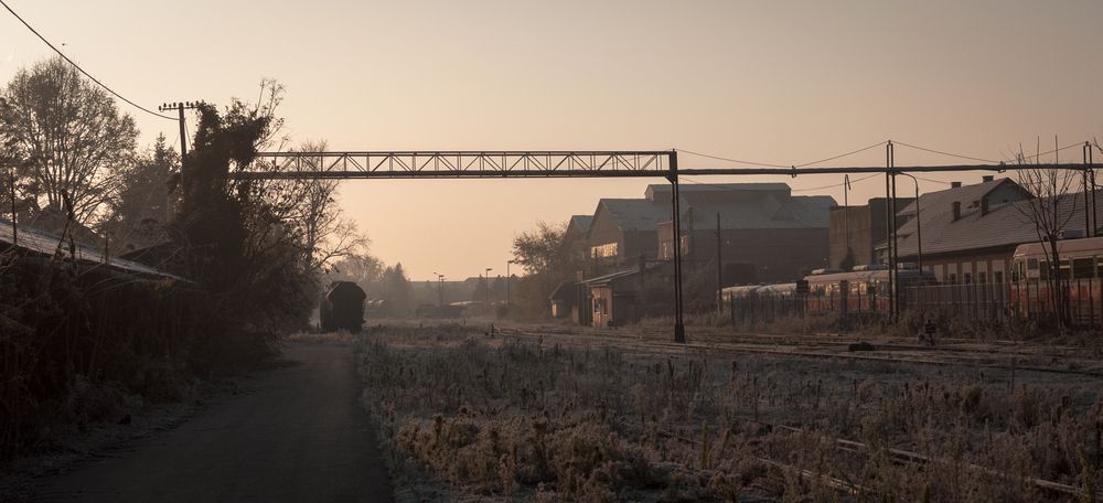 Photograph by Dragan Leles