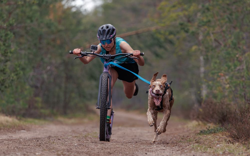 Photograph by Илья Юфа