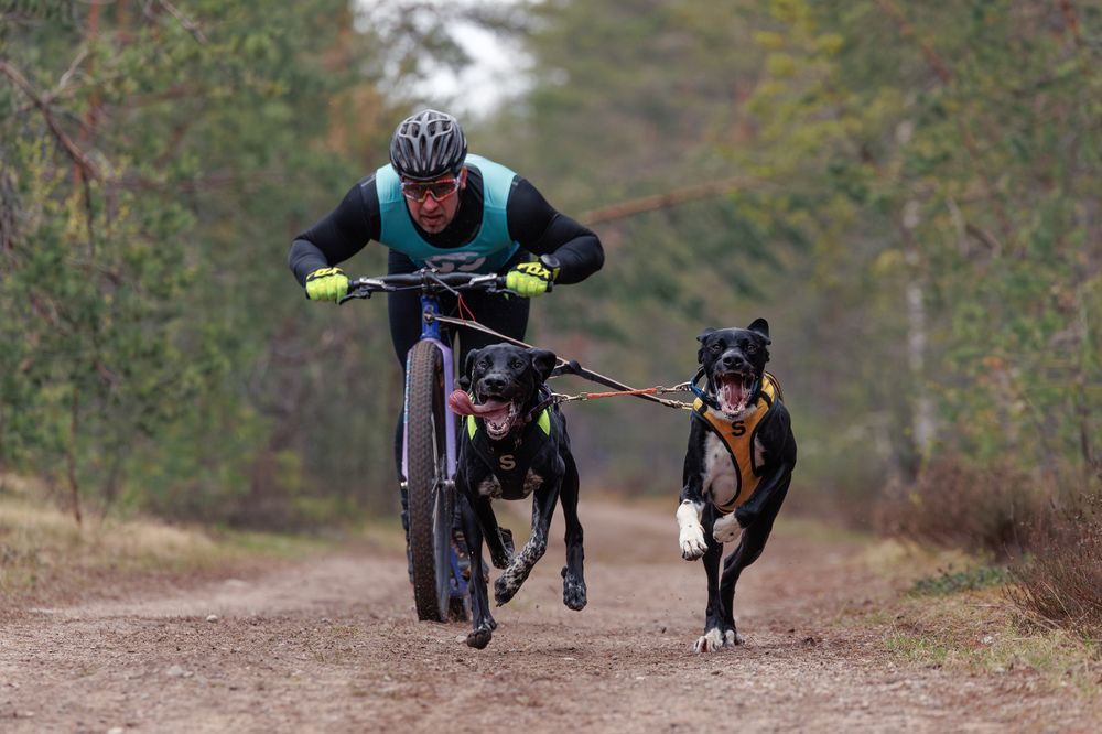 Photograph by Илья Юфа