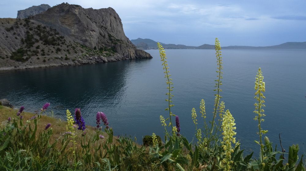 Май в Новом Свете