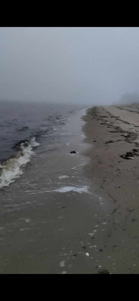 Photograph by Наталья Горовых