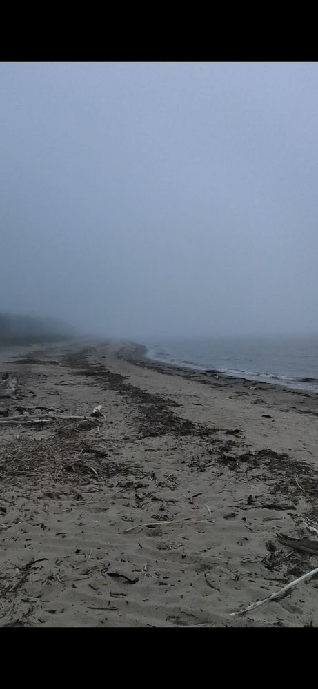 Photograph by Наталья Горовых