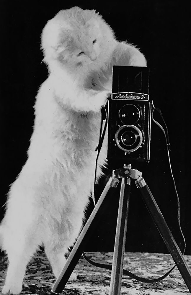 Photograph by Алексей Патлах