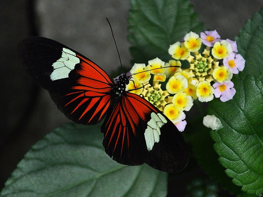 Photograph by Jozef Potocký