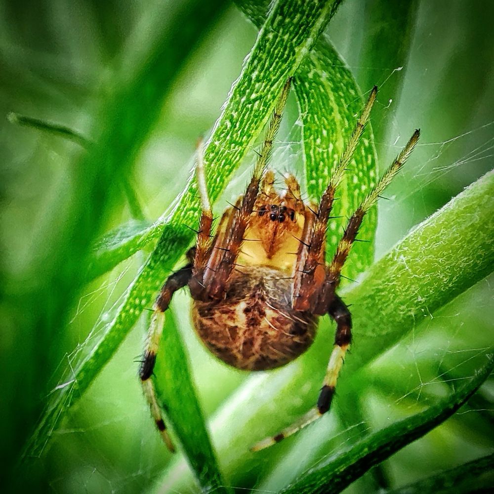 Photograph by Дина Желанова