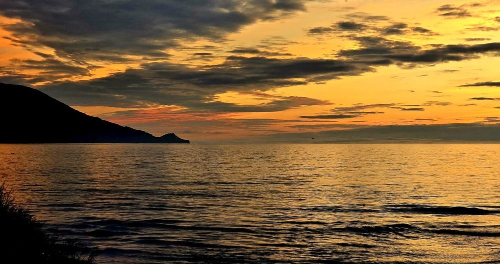 Photograph by Лариса Ким