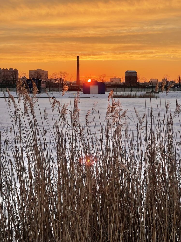 Photograph by Юлия Ильина