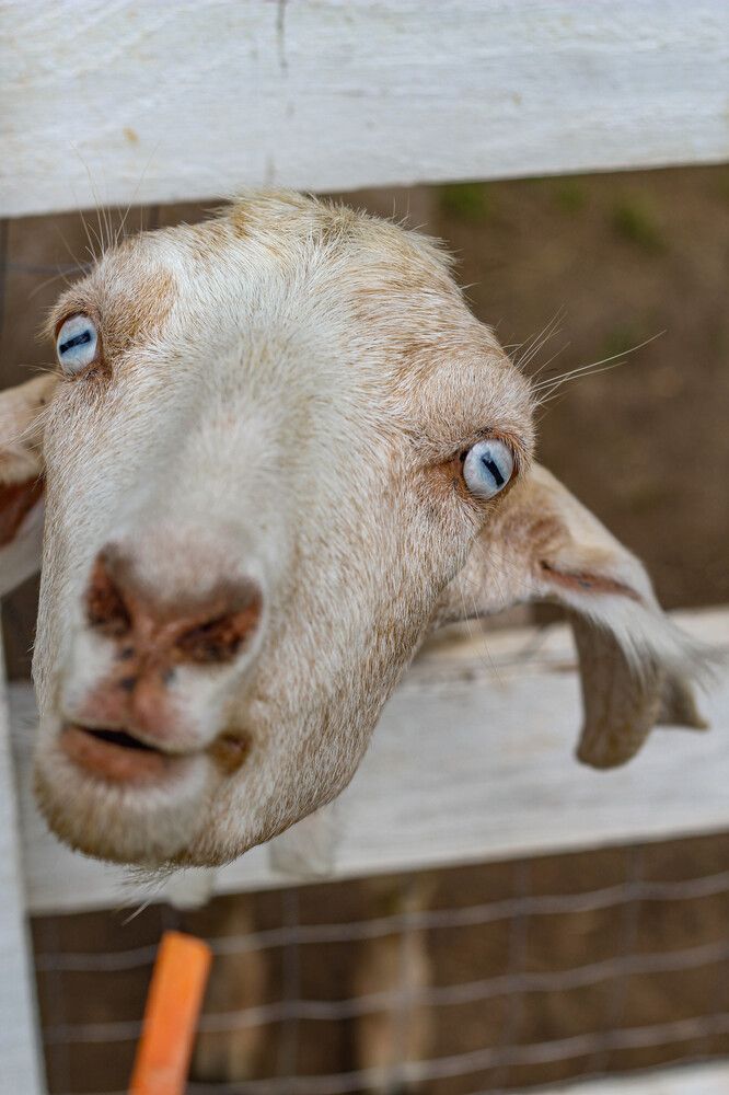 Photograph by Наталия Козлова