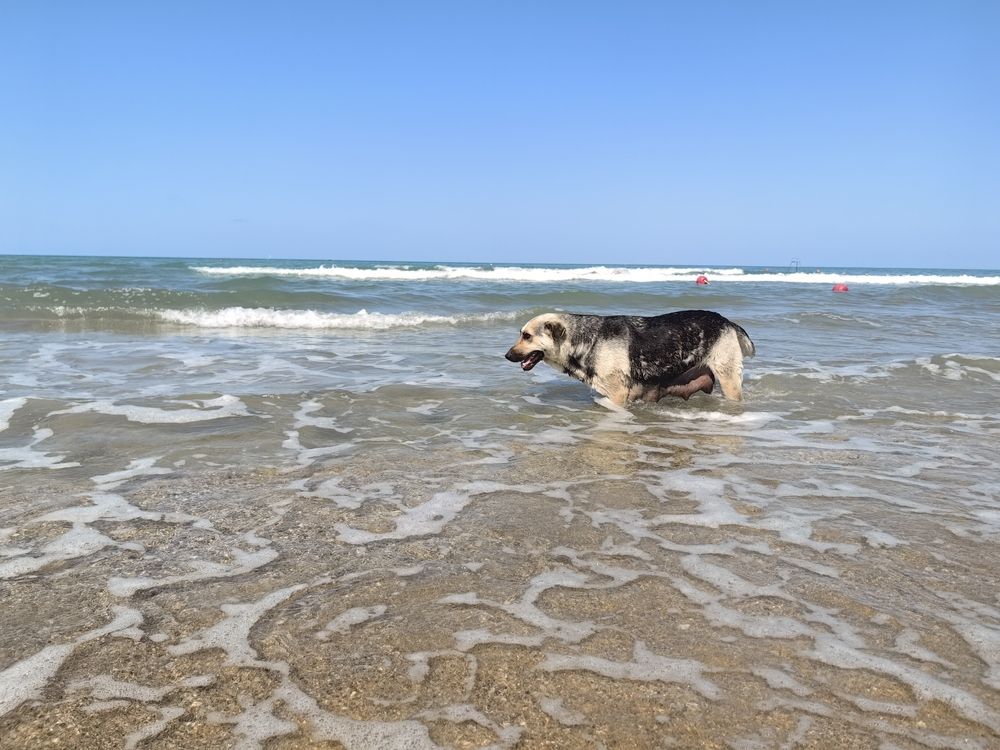 Photograph by Maiya Bulatova