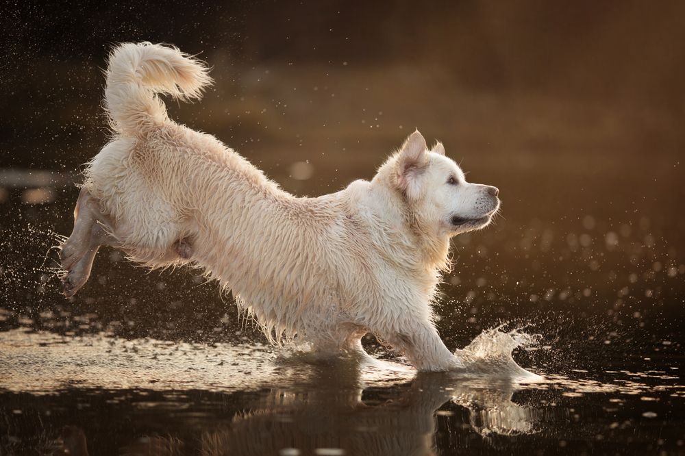 Photograph by Евгения Костусева