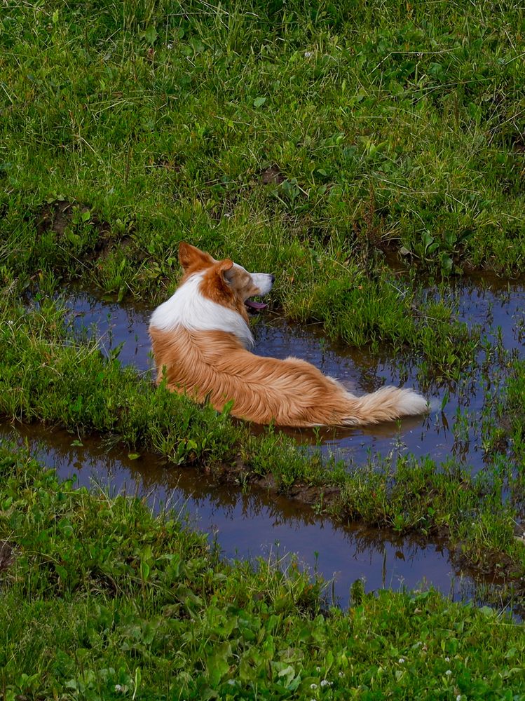 Photograph by Сергей Конюшенко