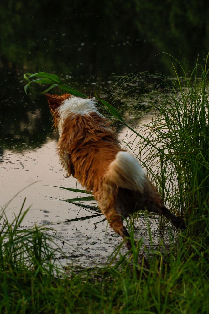 Photograph by Сергей Конюшенко