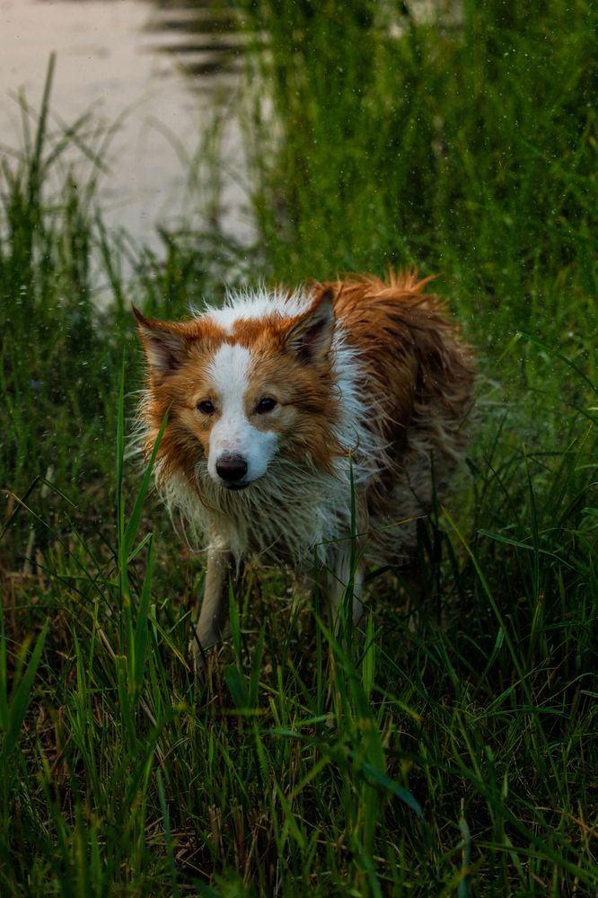 Photograph by Сергей Конюшенко