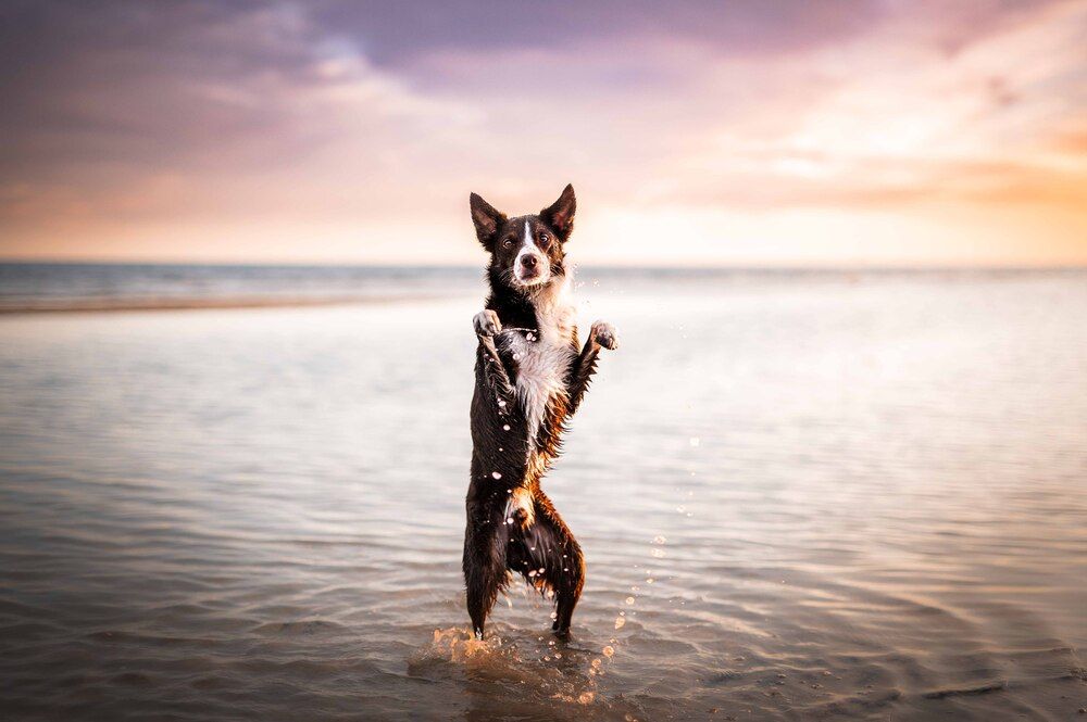 Photograph by Csenge Bálint