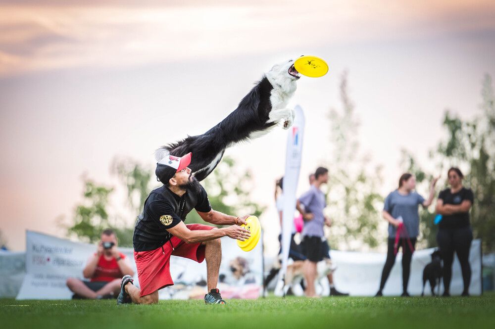 Photograph by Csenge Bálint