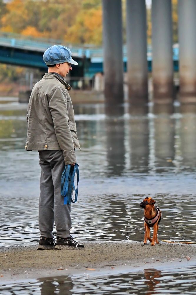 Photograph by Татьяна Бравая