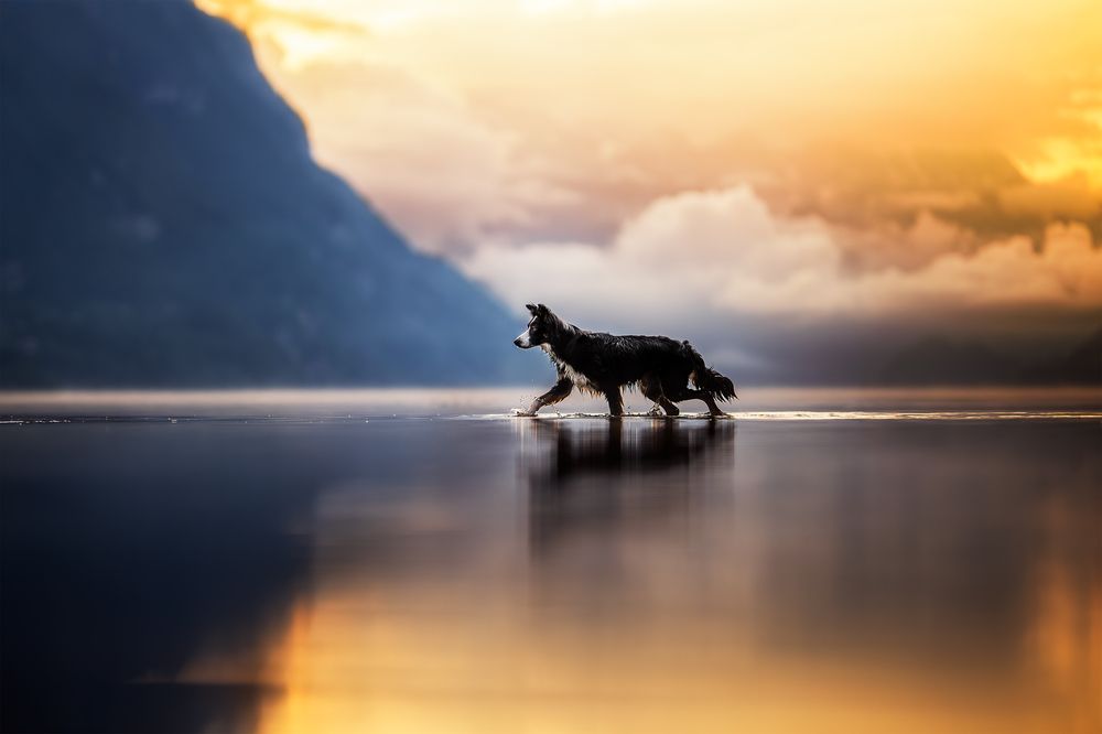 Photograph by karin bruhin