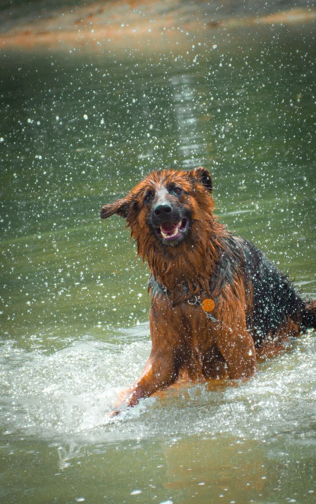 Фотография автора Геннадий Ломеко
