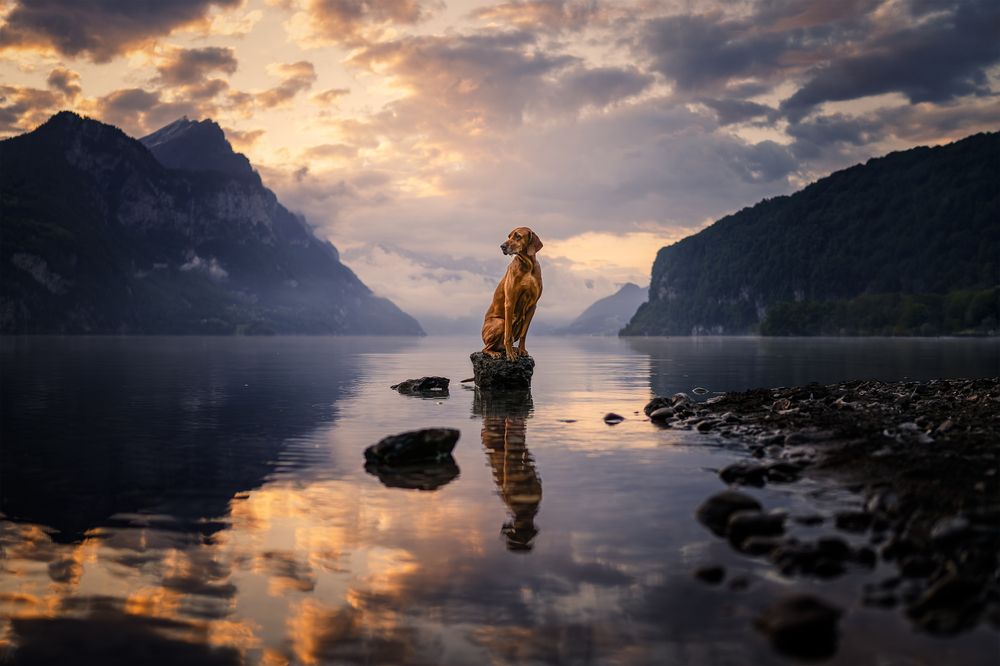 Photograph by karin bruhin