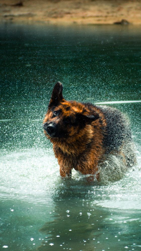 Фотография автора Геннадий Ломеко